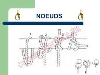 NOEUDS
 