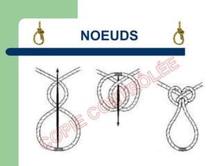 NOEUDS
 