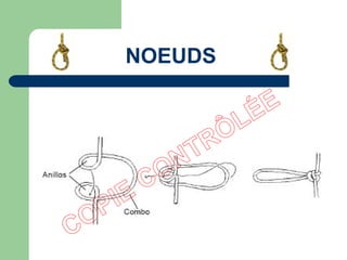 NOEUDS
 