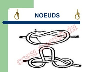 NOEUDS
 