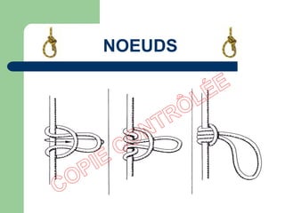 NOEUDS
 