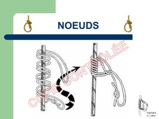 NOEUDS
 