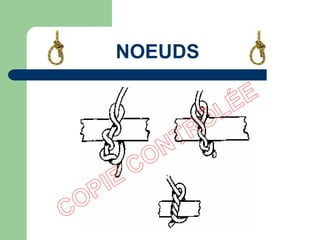 NOEUDS
 