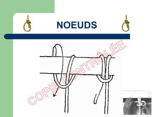 NOEUDS
 