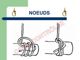 NOEUDS
 