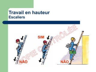 NÃO NÃO
SIM
Travail en hauteur
Escaliers
 