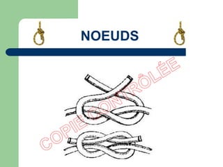 NOEUDS
 