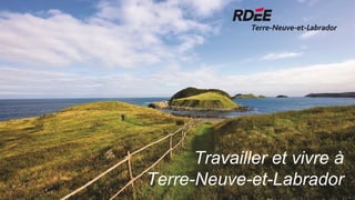 Travailler et vivre à
Terre-Neuve-et-Labrador
 