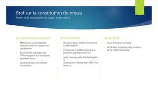 Bref sur la constitution du noyau
Parler de la constitution du noyau se resume a:
La membrane nucleaire
 Membrane a permeabilite
selective entre le noyau et le
cytoplasme.
 Assurant les echanges par
diffusion grace aux structures
appelees pores.
 Caracteristique des cellules
eucaryotes.
La chromatine
 De deux types: heterochromatine
et chromatine
 Constitution d’AND associe aux
proteins appelees histones.
 Avec comme unite fondamentale
le
nucleosome=8histones+AND+his
tone H1
Le nucleole
 Sous domaine nucleaire
 Actif dans la sythese des proteins
et de l’ARN ribosomal
 