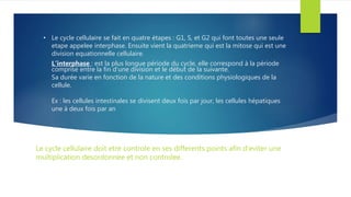 • Le cycle cellulaire se fait en quatre étapes : G1, S, et G2 qui font toutes une seule
etape appelee interphase. Ensuite vient la quatrieme qui est la mitose qui est une
division equationnelle cellulaire.
L’interphase : est la plus longue période du cycle, elle correspond à la période
comprise entre la fin d’une division et le début de la suivante.
Sa durée varie en fonction de la nature et des conditions physiologiques de la
cellule.
Ex : les cellules intestinales se divisent deux fois par jour, les cellules hépatiques
une à deux fois par an
Le cycle cellulaire doit etre controle en ses differents points afin d’eviter une
multiplication desordonnee et non controlee.
 