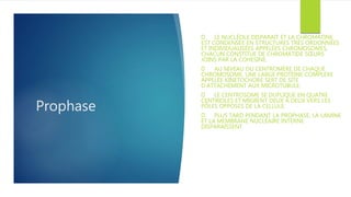 Prophase
LE NUCLÉOLE DISPARAIT ET LA CHROMATINE
EST CONDENSÉE EN STRUCTURES TRÈS ORDONNÉES
ET INDIVIDUALISÉES APPELÉES CHROMOSOMES,
CHACUN CONSTITUE DE CHROMATIDE SŒURS
JOINS PAR LA COHESINE.
AU NIVEAU DU CENTROMÈRE DE CHAQUE
CHROMOSOME, UNE LARGE PROTÉINE COMPLEXE
APPELÉE KINETOCHORE SERT DE SITE
D’ATTACHEMENT AUX MICROTUBULE.
LE CENTROSOME SE DUPLIQUE EN QUATRE
CENTRIOLES ET MIGRENT DEUX A DEUX VERS LES
PÔLES OPPOSES DE LA CELLULE.
PLUS TARD PENDANT LA PROPHASE, LA LAMINE
ET LA MEMBRANE NUCLÉAIRE INTERNE
DISPARAISSENT
 