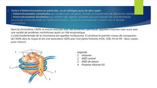 o Parlant d’hétérochromatine en particulier, on en distingue aussi de deux types
L'hétérochromatine constitutive qui contient peu de gènes, formée principalement de séquences répétées
L'hétérochromatine facultative qui contient des régions codantes pouvant adopter les caractéristiques
structurale et fonctionnelle de l'hétérochromatine, comme le chromosome X inactif chez la femelle des
mammifères.
Dans la chromatine, l’ADN se trouve associée avec des protéines spécifiques appelées histones mais aussi avec
une variété de protéines nonhistones ayant un rôle enzymatique.
L'unité fondamentale de la chromatine est appelee nucleosome. Il constitue le premier niveau de compaction
de l'ADN dans le noyau et est une association ADN avec huit petits histones (H2A, H2B, H3 et H4 : deux copies
pour chacun)
1
2
3
4
Legende
1. Histones
2. AND central
3. AND de liaison
4. Proteine Histone H1
 