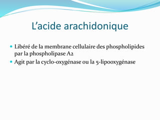 L’acide arachidonique
 Libéré de la membrane cellulaire des phospholipides
par la phospholipase A2
 Agit par la cyclo-oxygénase ou la 5-lipooxygénase
 