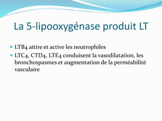 La 5-lipooxygénase produit LT
 LTB4 attire et active les neutrophiles
 LTC4, CTD4, LTE4 conduisent la vasodilatation, les
bronchospasmes et augmentation de la perméabilité
vasculaire
 