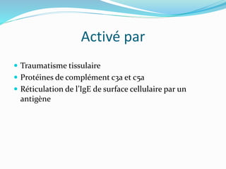 Activé par
 Traumatisme tissulaire
 Protéines de complément c3a et c5a
 Réticulation de l’IgE de surface cellulaire par un
antigène
 