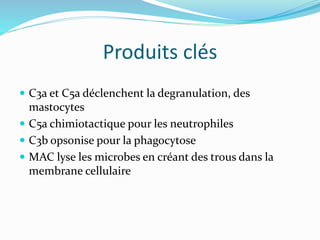 Produits clés
 C3a et C5a déclenchent la degranulation, des
mastocytes
 C5a chimiotactique pour les neutrophiles
 C3b opsonise pour la phagocytose
 MAC lyse les microbes en créant des trous dans la
membrane cellulaire
 
