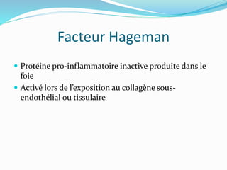 Facteur Hageman
 Protéine pro-inflammatoire inactive produite dans le
foie
 Activé lors de l’exposition au collagène sous-
endothélial ou tissulaire
 