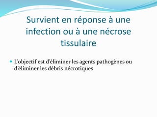 Survient en réponse à une
infection ou à une nécrose
tissulaire
 L’objectif est d’éliminer les agents pathogènes ou
d’éliminer les débris nécrotiques
 