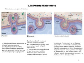 3.MECANISME D'ENDOCYTOSE
Il éxiste trois formes majeure d’endocytose:
Dans la pinocytose, la membrane
cellulaire s'invagine (fossettes
vers l'intérieur) pour former une fosse
contenant une goutte de liquide
extracellulaire.
La fosse pince à l'intérieur de la cellule
lorsque la membrane cellulaire
fusionne et forme une vésicule
pinocytotique contenant le liquide.
L'endocytose s'entremettant par un récepteur
comprend une membrane de protéine appelée
récepteur qui se lie à des molécules spécifiques
(ligands). Lorsque plusieurs de ces récepteurs sont
liés par leur ligands, ils s'agrègent dans une région
de la membrane qui alors invagine et pince pour
créer une vésicule ou un endosome contenant à la
fois les récepteurs et les ligands liés.
La phagocytose implique l'extension de la
cellule de grands plis appelés
pseudopodes qui engloutissent les
particules, pour exemple de bactéries,
puis internalisent son matériel dans une
vacuole cytoplasmique ou phagosome.
6
 