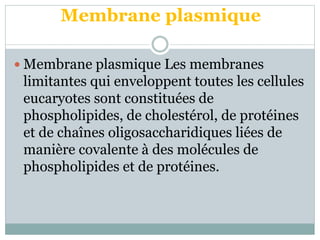 Membrane plasmique
 Membrane plasmique Les membranes
limitantes qui enveloppent toutes les cellules
eucaryotes sont constituées de
phospholipides, de cholestérol, de protéines
et de chaînes oligosaccharidiques liées de
manière covalente à des molécules de
phospholipides et de protéines.
 
