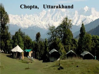 Chopta, Uttarakhand