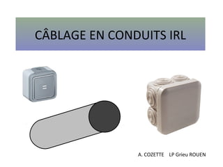 CÂBLAGE EN CONDUITS IRL




               A. COZETTE LP Grieu ROUEN
 