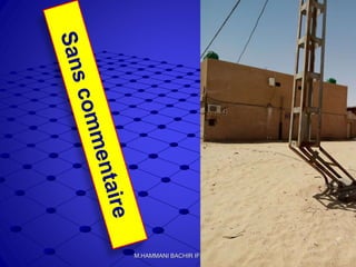 113M.HAMMANI BACHIR IFEG/ETB
 