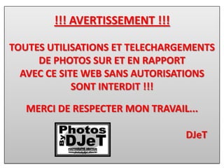 !!! AVERTISSEMENT !!!TOUTES UTILISATIONS ET TELECHARGEMENTSDE PHOTOS SUR ET EN RAPPORTAVEC CE SITE WEB SANS AUTORISATIONS SONT INTERDIT !!!MERCI DE RESPECTER MON TRAVAIL...                                                                     DJeT