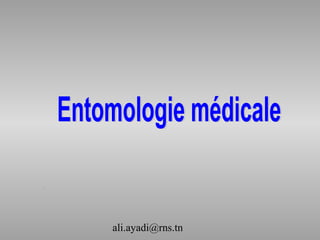 ali.ayadi@rns.tn
 
