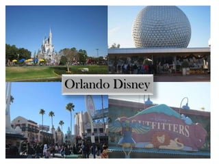 Orlando Disney