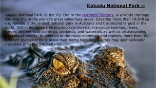 Kakadu National Park :-
Kakadu National Park, in the Top End or the Northern Territory, is a World Heritage
Site and one of the planet's great wilderness areas. Covering more than 19,840 sq
km, Kakadu is the largest national park in Australia and the second largest in the
world. Within its borders lie monsoon rainforests, mangrove swamps, rivers,
gorges, ancient rock paintings, wetlands, and waterfalls as well as an astounding
diversity of wildlife. In addition to the many mammals and reptiles, more than 300
different species of birds make their home here, and visitors may spot saltwater
crocodiles prowling the wetlands.
 