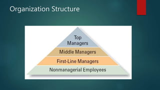 Organization Structure
 