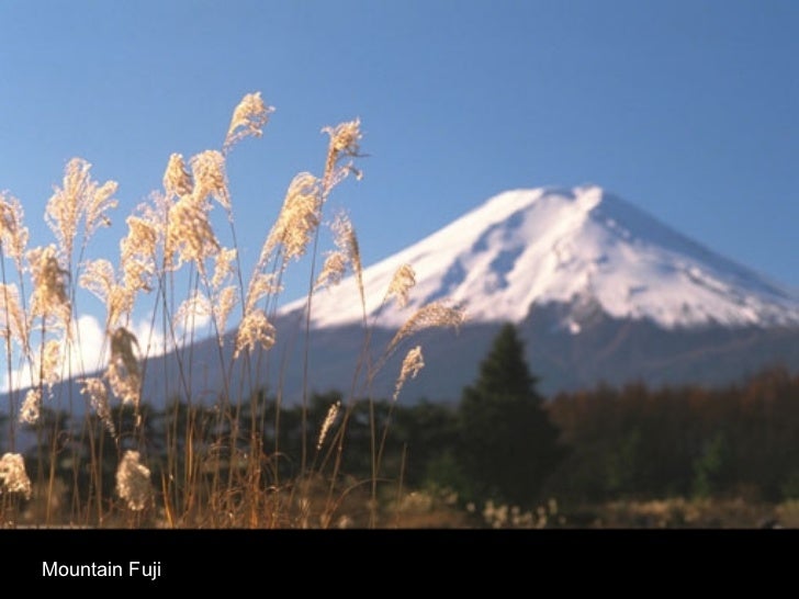 Mountain Fuji 