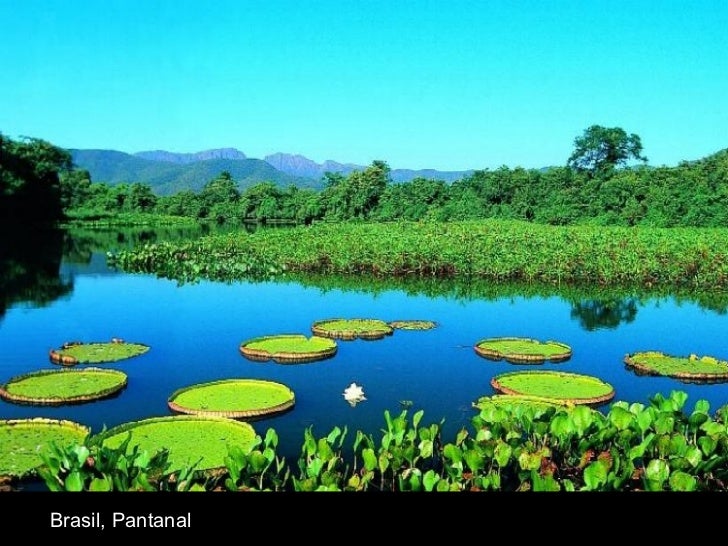 Brasil, Pantanal 