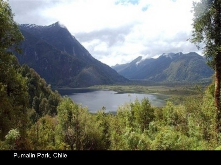 Pumalin Park, Chile 