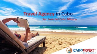 Travel Agency in Cabo
San José del Cabo México
 