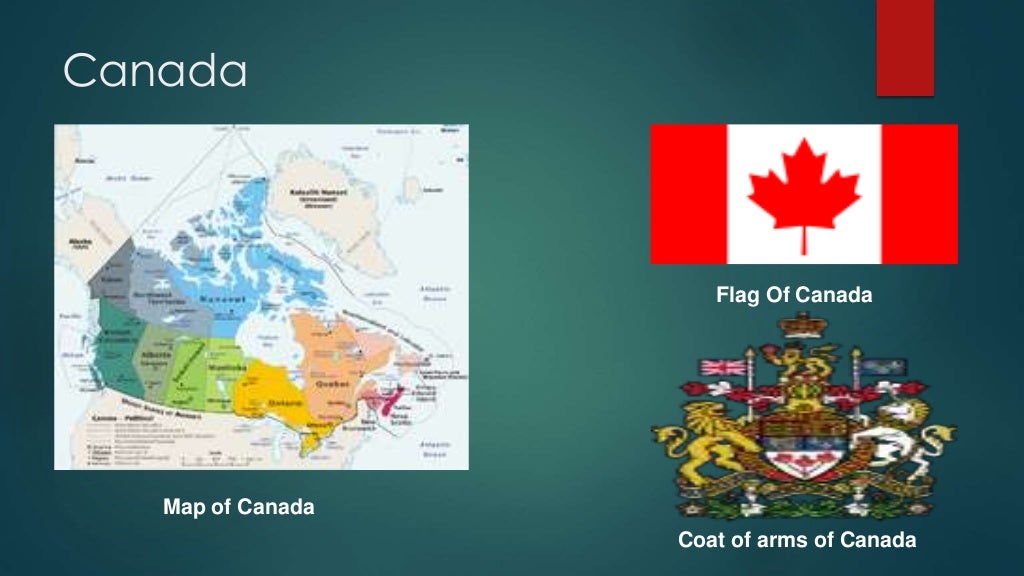 Give an explanation about the international travel organisations iata picture