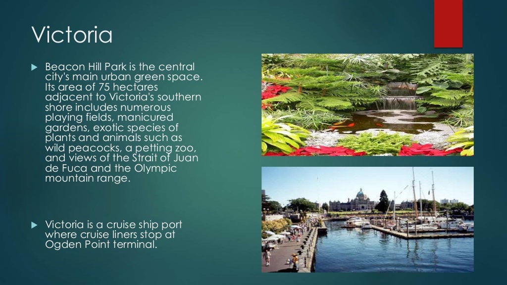 Give an explanation about the international travel organisations (merit) iata image