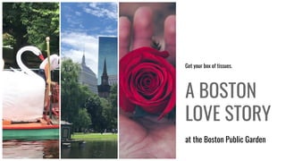 A BOSTON
LOVE STORY
at the Boston Public Garden
Get your box of tissues.
 