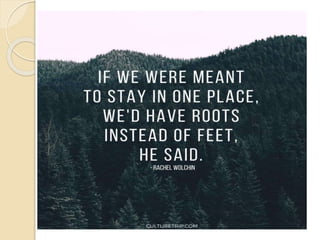 Travel brochure grade 8