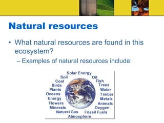Travel brochure ppt | PPTX