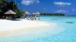 The Maldives
 