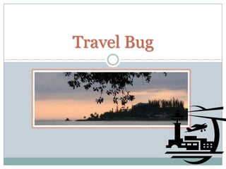 Travel Bug 