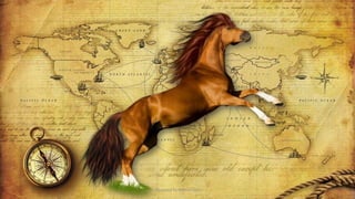 Designed by Kellwyn San
 