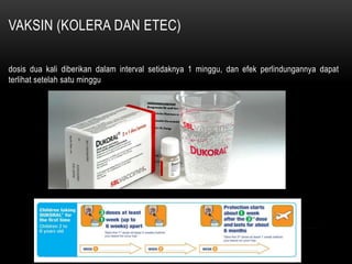 VAKSIN (KOLERA DAN ETEC)
dosis dua kali diberikan dalam interval setidaknya 1 minggu, dan efek perlindungannya dapat
terlihat setelah satu minggu
 