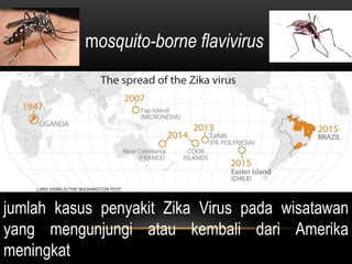mosquito-borne flavivirus
jumlah kasus penyakit Zika Virus pada wisatawan
yang mengunjungi atau kembali dari Amerika
meningkat
 