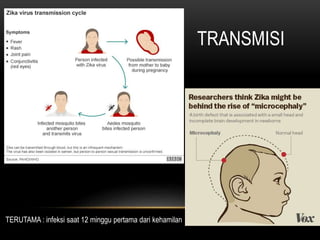 TRANSMISI
TERUTAMA : infeksi saat 12 minggu pertama dari kehamilan
 