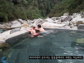 머리카락이 곤두서는 얼음물에서도 샤워는 가능하다.
 