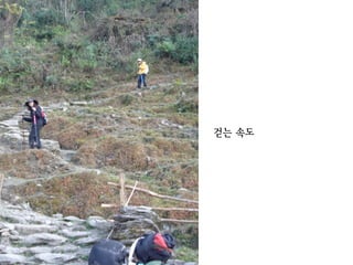 걷는 속도
 