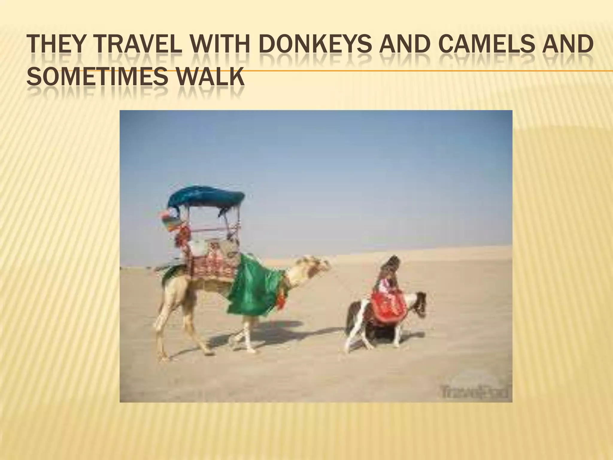 THEY TRAVEL WITH DONKEYS AND CAMELS AND
SOMETIMES WALK
 